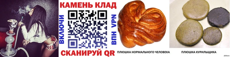 ГАШ hashish Кодинск
