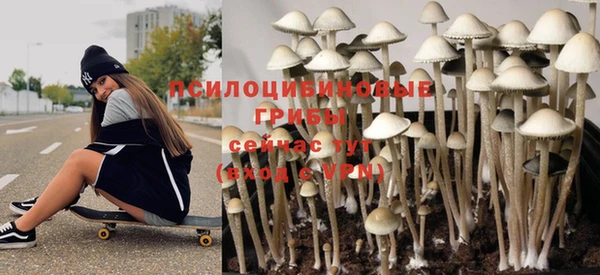 COCAINE Белокуриха