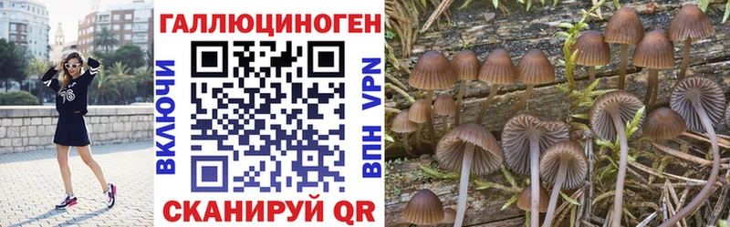 Псилоцибиновые грибы прущие грибы  hydra зеркало  Кодинск  купить  цена 